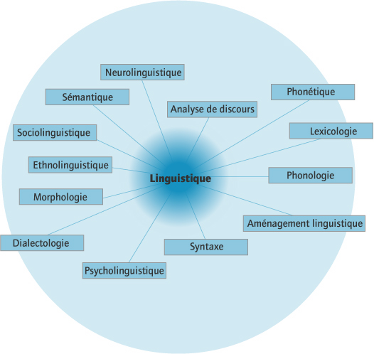 Image pour le genre : Linguistique.