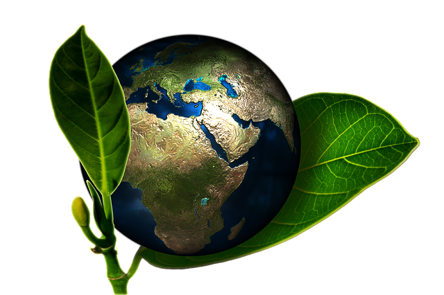 Image pour le genre : Développement durable.