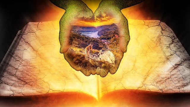 Image pour le genre : Développement personnel.